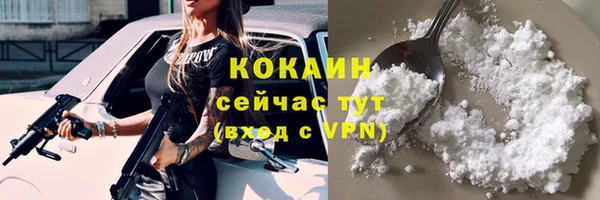 тгк Богданович